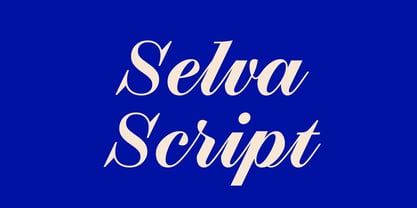 Selva Script Font Poster 8